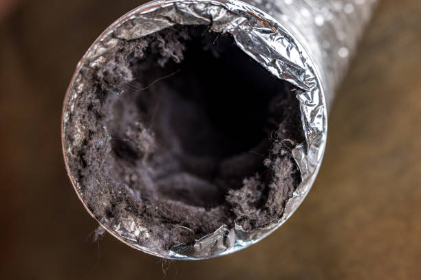 Best Dryer Vent Cleaning Services  in Rancho Tehama Reserve, CA